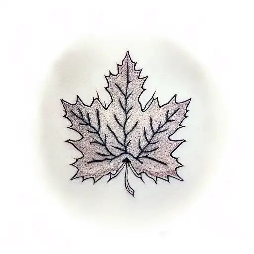 Maple Leaf