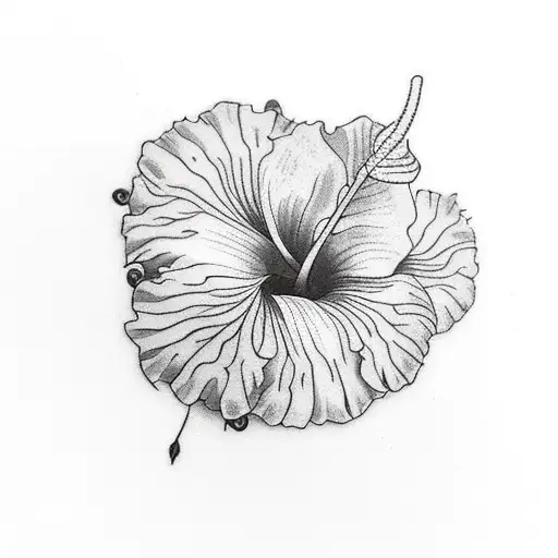 Hibiscus And Elephant Ear Leaf