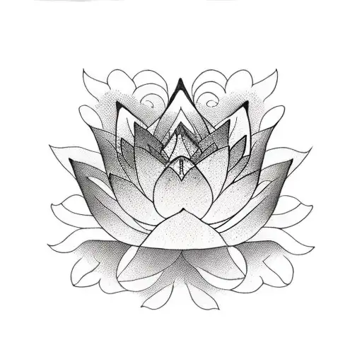 Lotus Flower