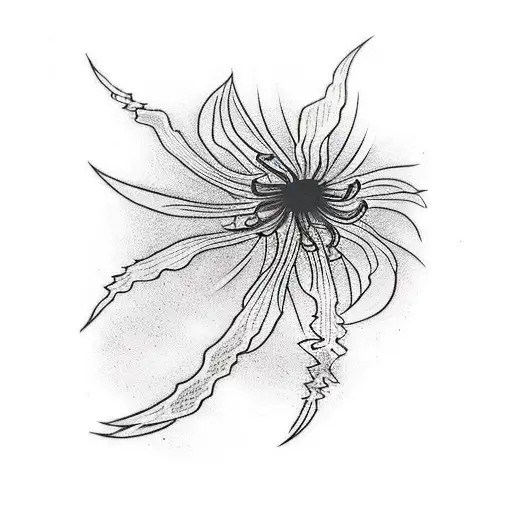 Black And Red Spider Lily