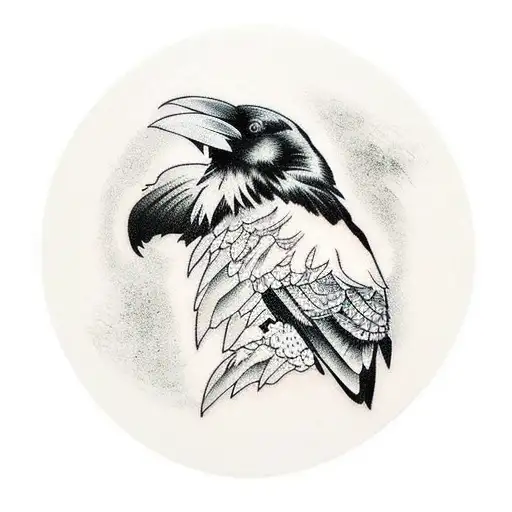 Raven On A Laundry Machine