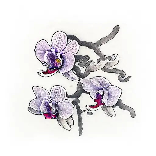Orchid