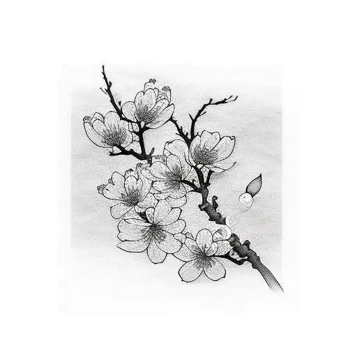 Cherry Blossom Branch Black And White