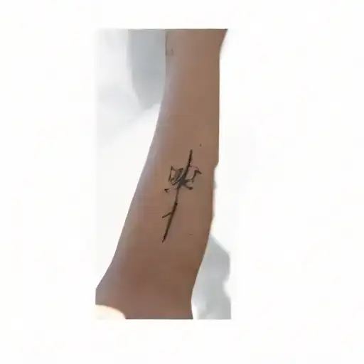 Chinese Writing On A Person's Arm
