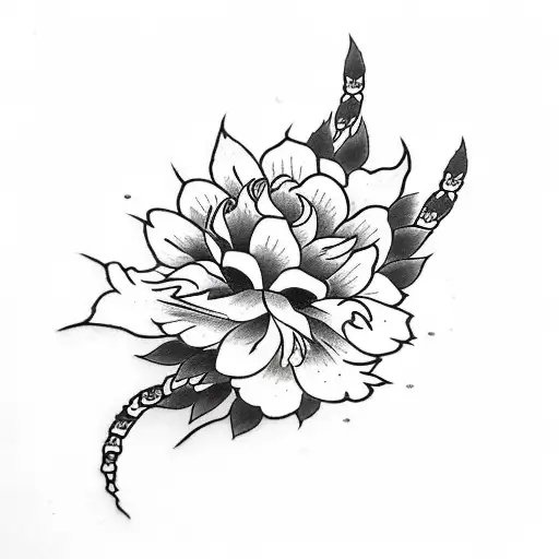 Black And Red Licorice Flower