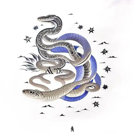 Snake With Stars Moon In It's Body And Clouds As The Background