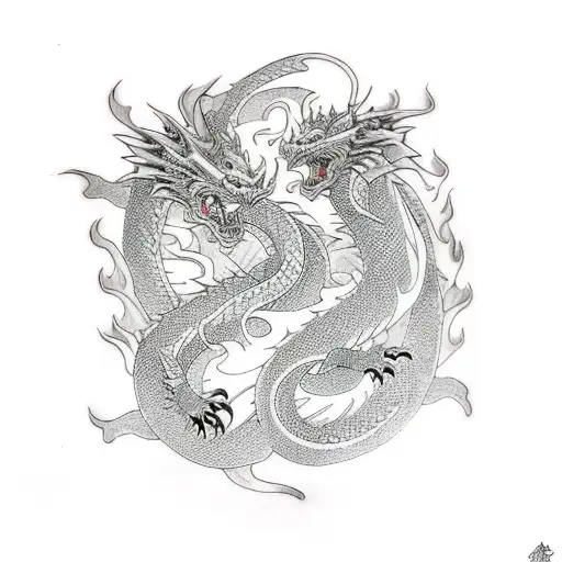 Dragon Fighting Ninja