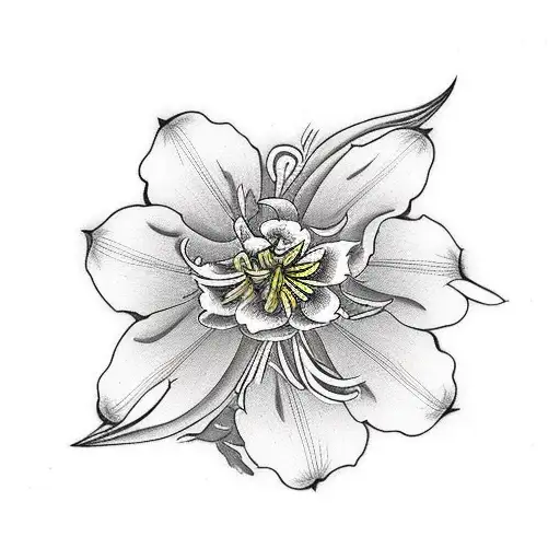 Fox And Spider Lily Flower