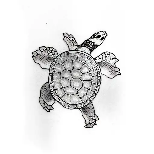Turtle