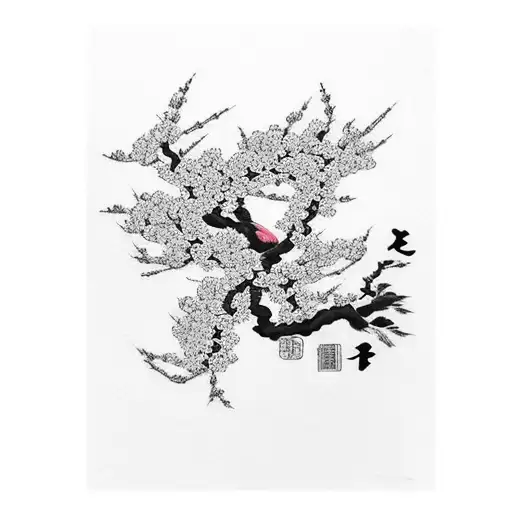 Japanese Cherry Blossom With Black Background Forearm