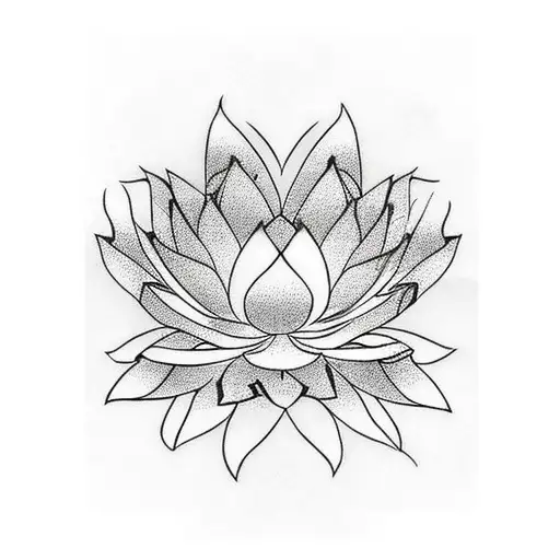 Lotus Flower