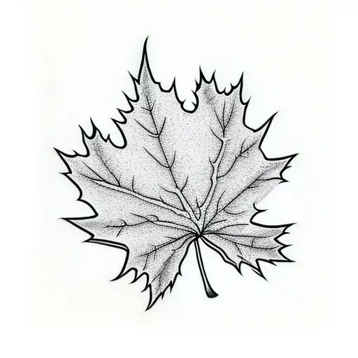 Maple Leaf And A Hedgedog