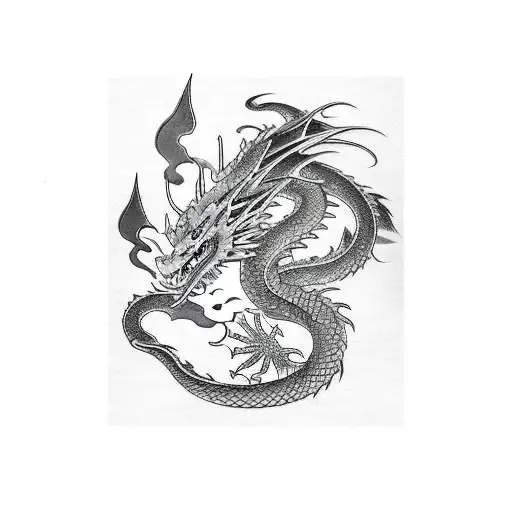 Dragon With A Samurai