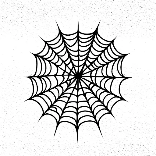 Spider Web