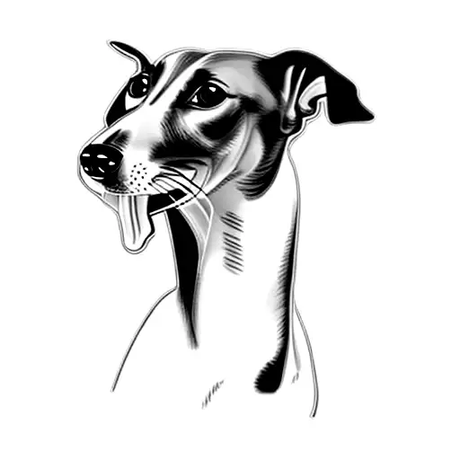 A Greyhound Dog