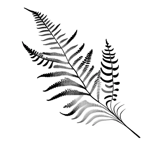 Fine Fern Leaf