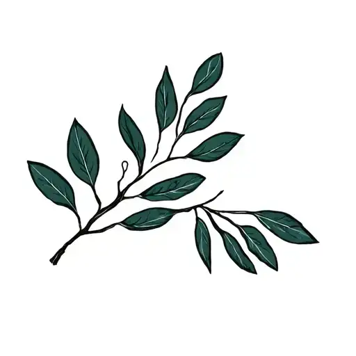 Eucalyptus Leaf And Oak Tree Leaf Intertwined