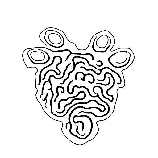 Lion Paws With A Bigger Paw Around The Baby Paw For A Father And Son