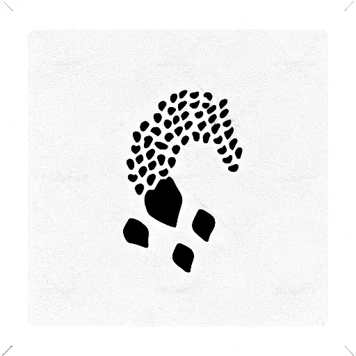 Crescent And Dog Footprint