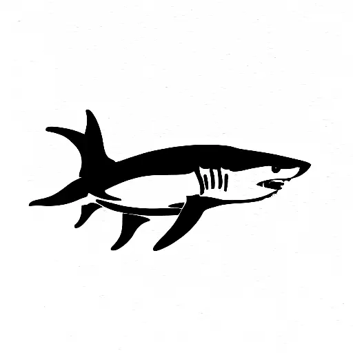 White Shark Jumping Out Of The Water