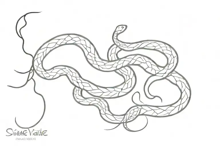Snake Symbolizing Flow Of Time And Reality