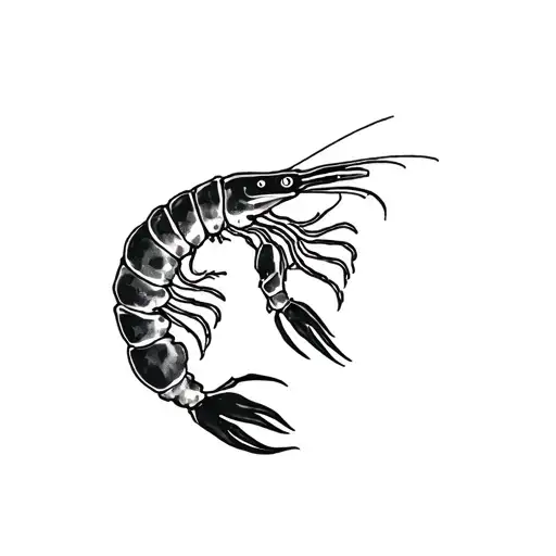 Shrimp And Gun Shooting