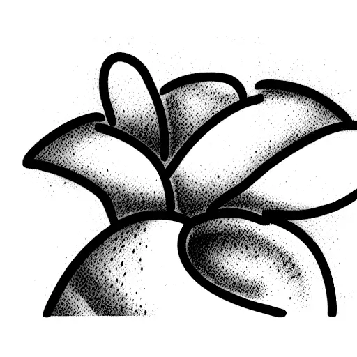 3 Cactus With 1 Flower