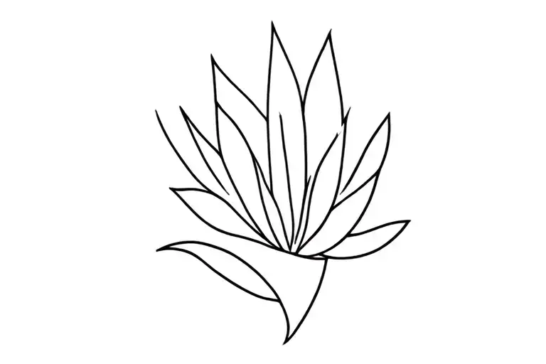 Coltin Virgo Arizona