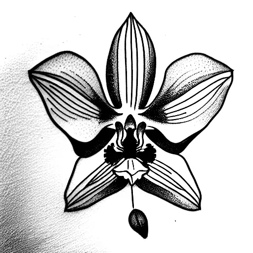 Orchid With Letter G