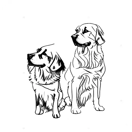 Two Golden Retrievers And A Black Cat