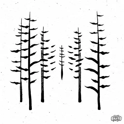 Forest With Photography And Travel Elements