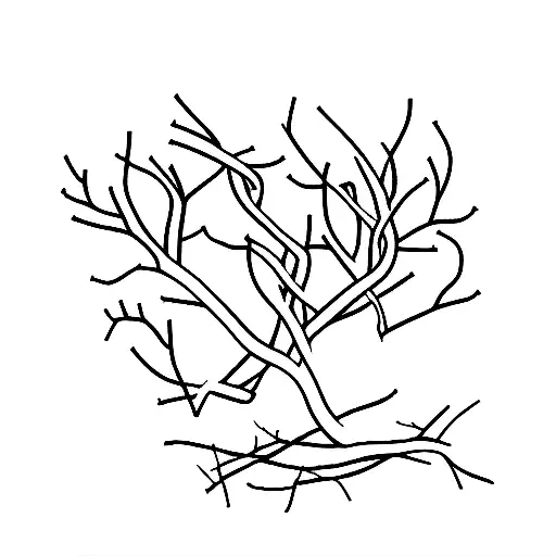 A Heart Shape Made Out Of Tree Twigs