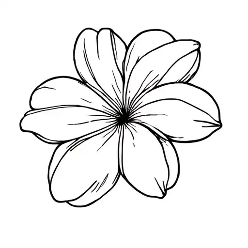 Frangipani Flower Abstract Fineline