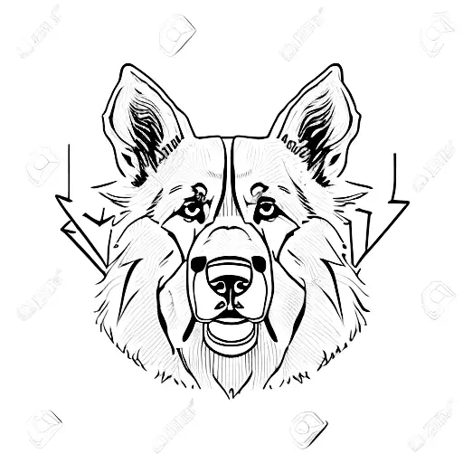 German Shepherd Head