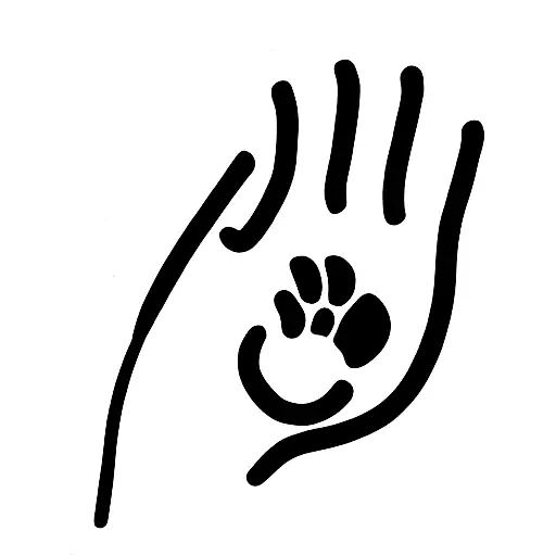 Cat Reaching Up With Paw