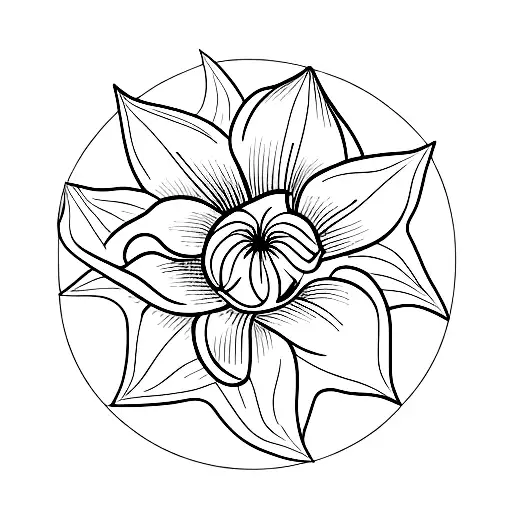 Lily Flower With A Paper Boat For Spin