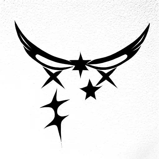 Black Wing With Stars