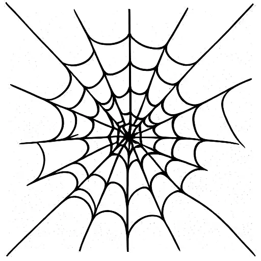 Spider Web