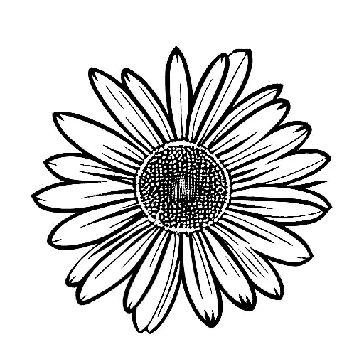 Vase Of Crazy Daisies