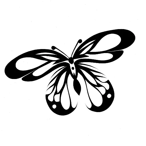 Butterfly And Flower And Bird