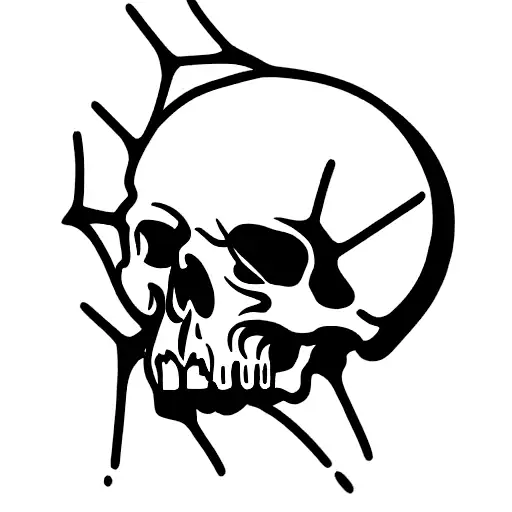 Skull And Spider