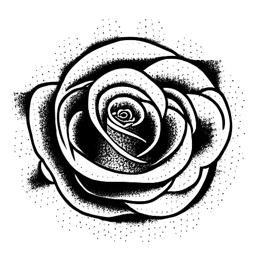 Tiger With Red Rose's