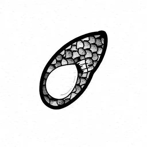 Avocado And Airplane