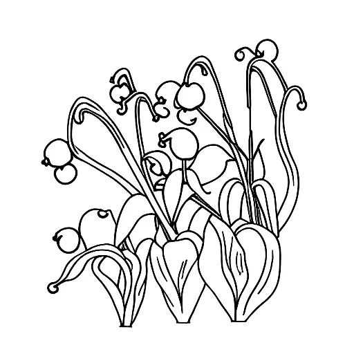 Lily Of The Valley Strung Around A Lance