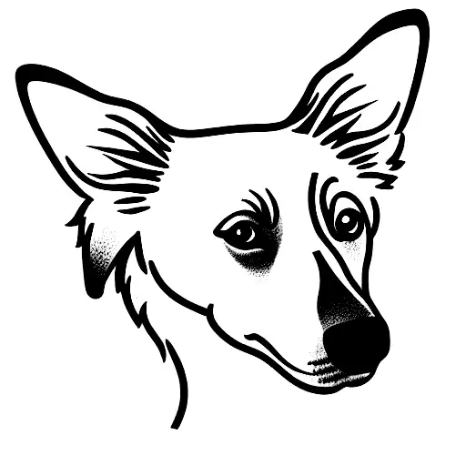 Fine Line Design Of Border Collie Ears