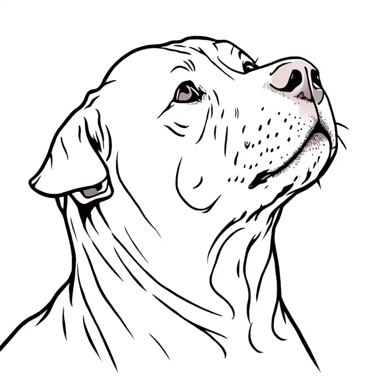 Pitbull Face Looking Up At The Sky