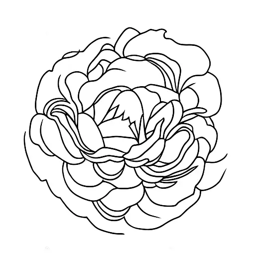 Moss Rose On The Spine