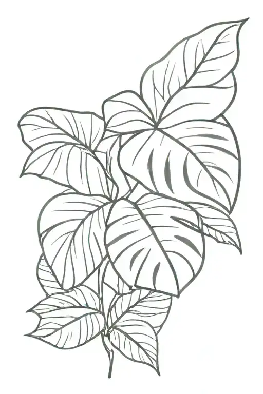 Eucalyptus Monstera Woman Nature Inspired