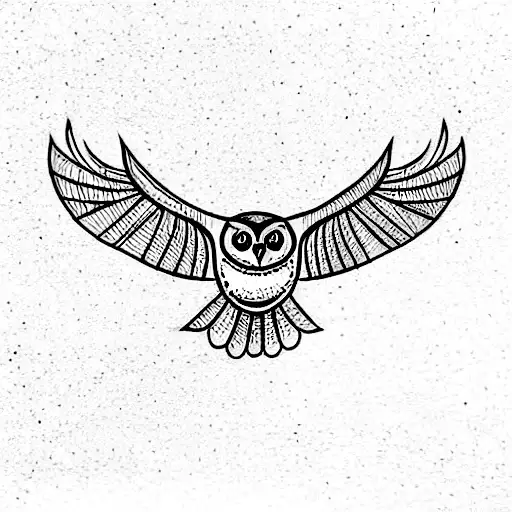 Owl Flying Towards You
