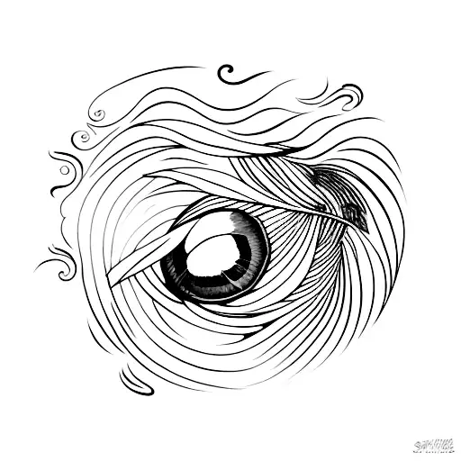 Peacock Feather And Eye